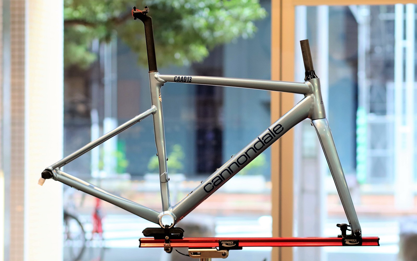 3月, 2022 | キャノンデール横浜