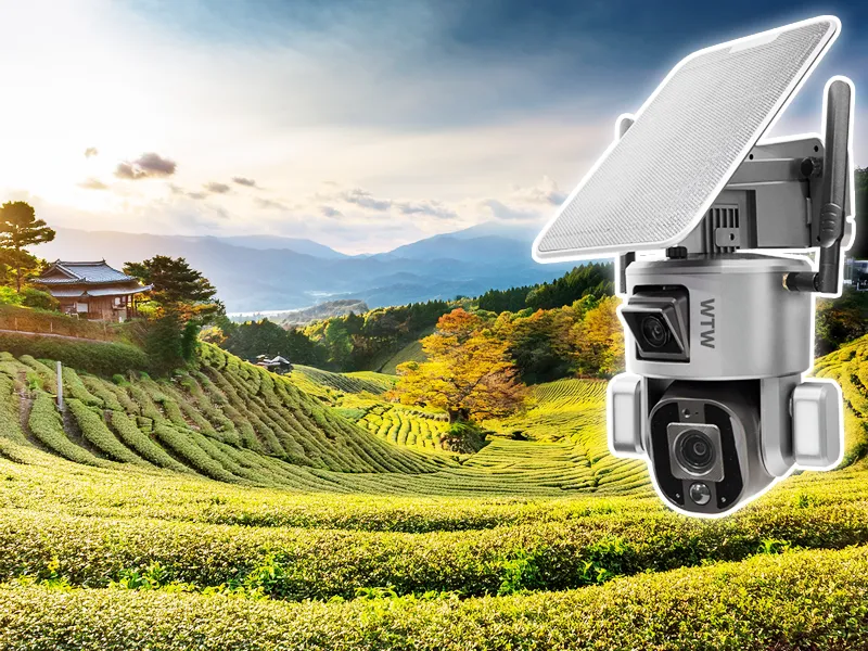 みてるちゃん123 WIFI SIM 防犯カメラ屋内外設置対応 WTW-W2859Y【WTW