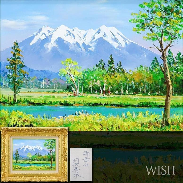 Yahoo!オークション -「羽沢清水」の落札相場・落札価格