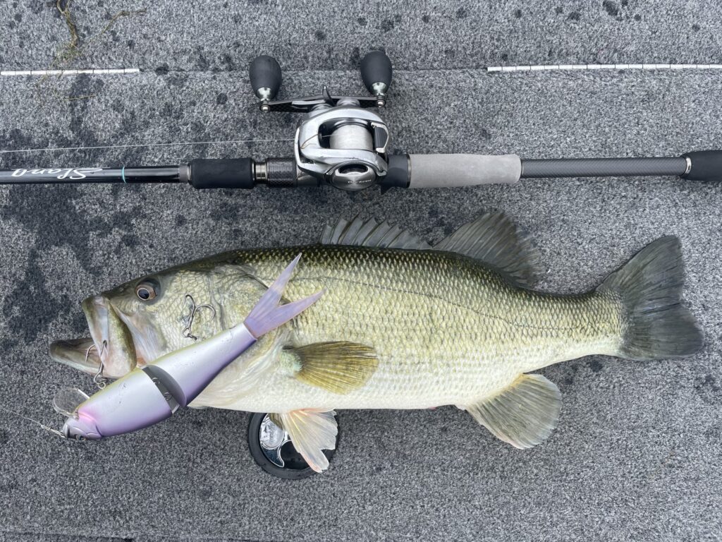 デジーノ スラング/ハングアウトをインプレ | 琵琶湖バスライフ