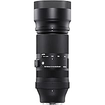 Amazon.co.jp: シグマ(Sigma) レンズ 100-400mm F5-6.3 DG DN Sony