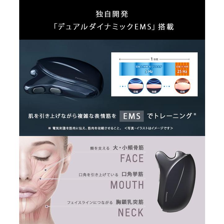 Panasonic（パナソニック） バイタリフト かっさ EH-SP85-K [専用