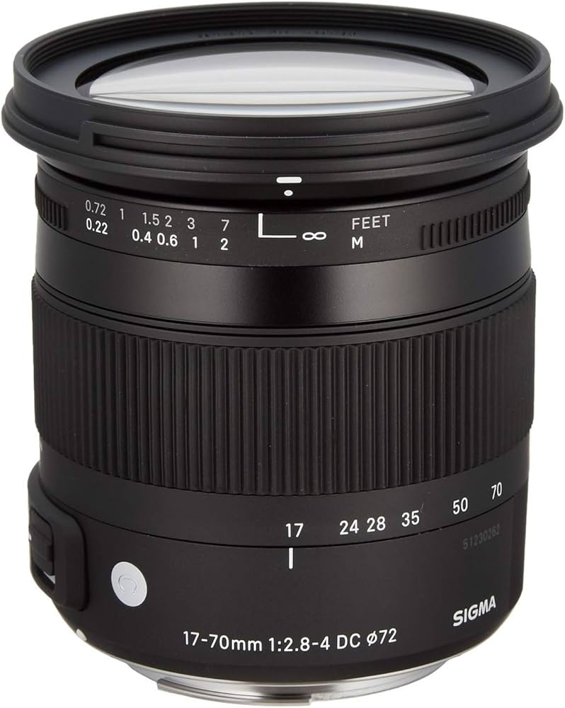 Amazon.co.jp: SIGMA 17-70mm F2.8-4 DC MACRO OS HSM | Contemporary