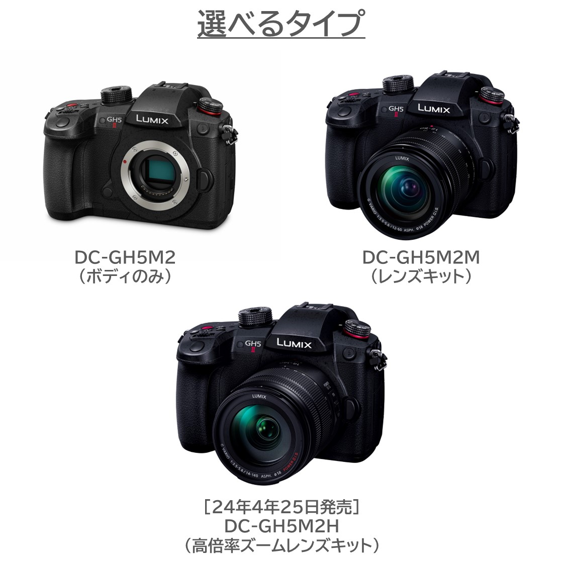 LUMIX Gシリーズ 公式店 パナソニック デジタル一眼カメラ DC-GH5M2H