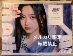 2026年最新】乃木フェスの人気アイテム - メルカリ