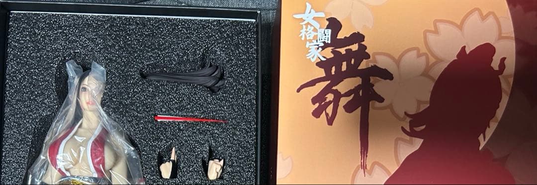 Ninja Cat 1/6スケールフィギュア