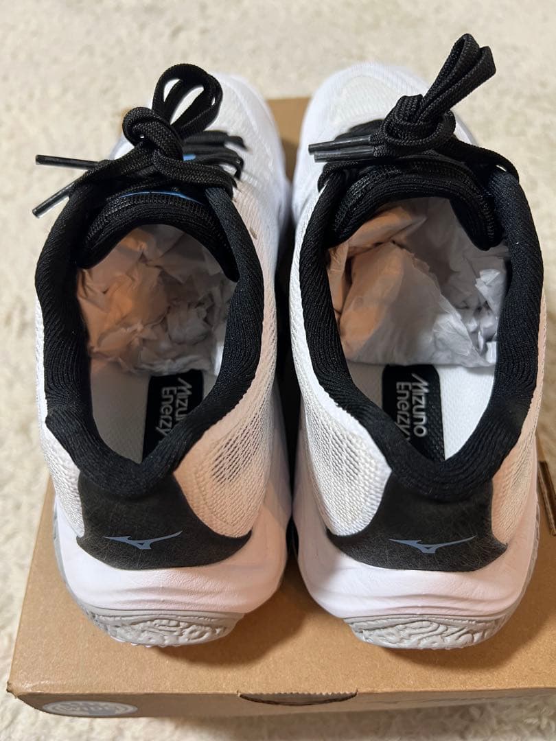 ミズノバレーボールシューズ新作　24.5cm