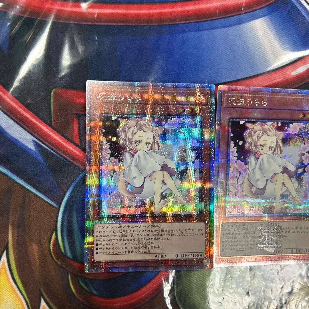 遊戯王　灰流うらら　絵違い　25thシク　3枚セット　極美品　良座標