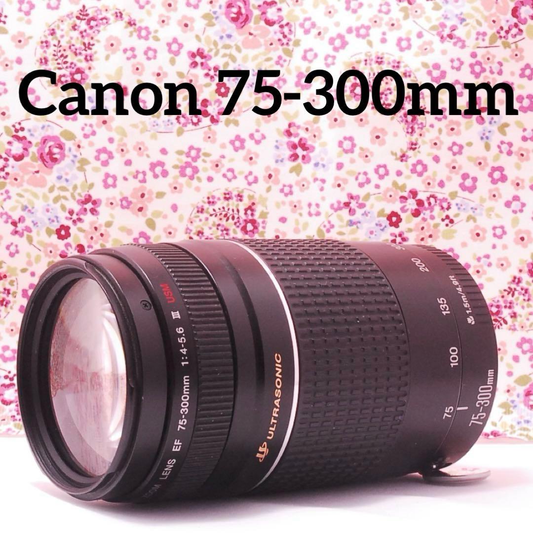 【動作確認済】Canon 75-300mm F/4-5.6 II USM