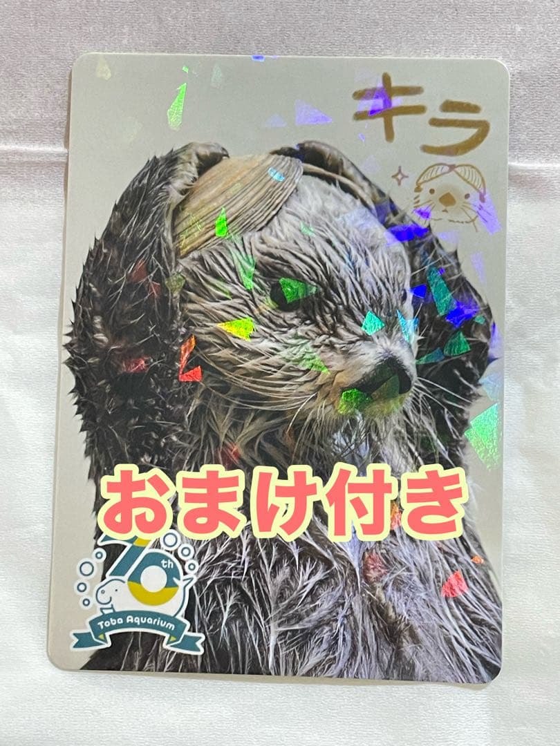 【匿名配送】鳥羽水族館　TOBA AQUARIUMコレクションカード　キラ コンプセット】鳥羽水族館 TOBA AQUARIUMコレクションカード 72枚