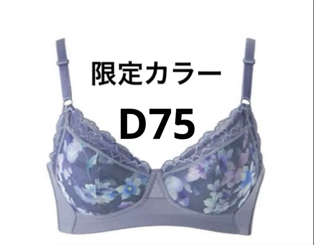 専用です　限定カラー　新感覚のノンワイヤーブラジャー　D75 ショーツL ロマンティックドール ケミカルレース ブラセット ABCD 谷間 L字 脇