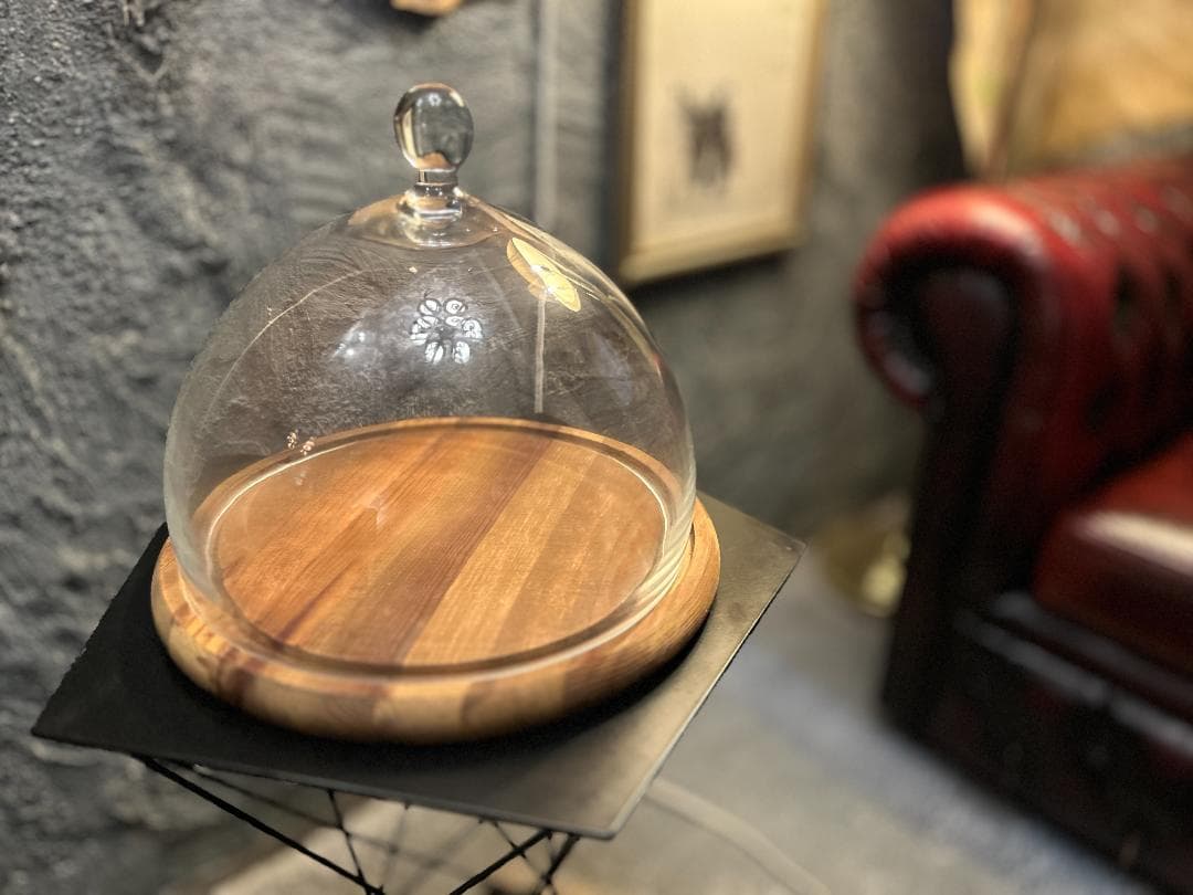 ｟希少・終売・美品｠DULTON / ダルトン　ガラスドーム　ディスプレイケース DULTON（ダルトン） ガラスケース ガラスドーム Mサイズ : REROOM