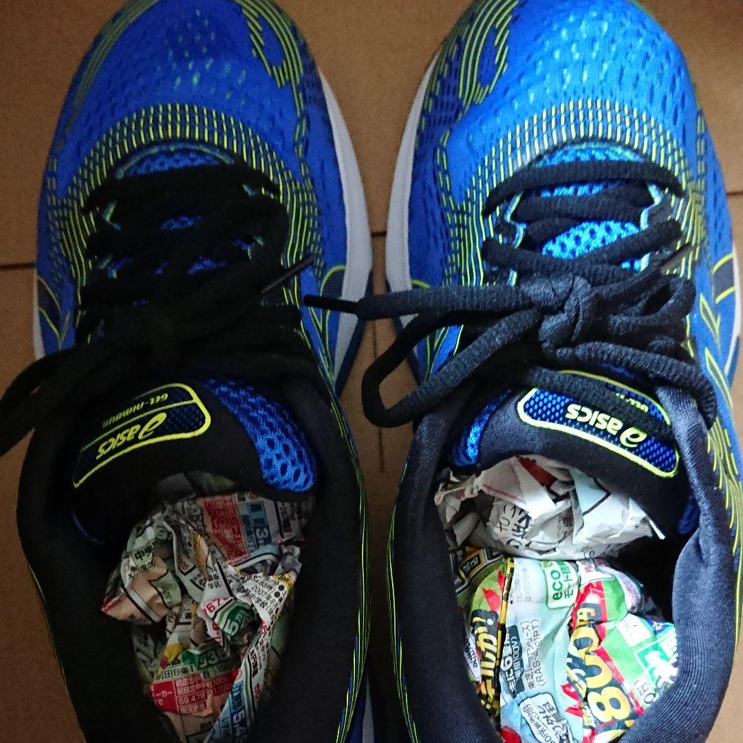 アシックス ランニングシューズ GEL-nimbus 21 Asics Gel-Nimbus 21 Review — Cushioned Running Shoes