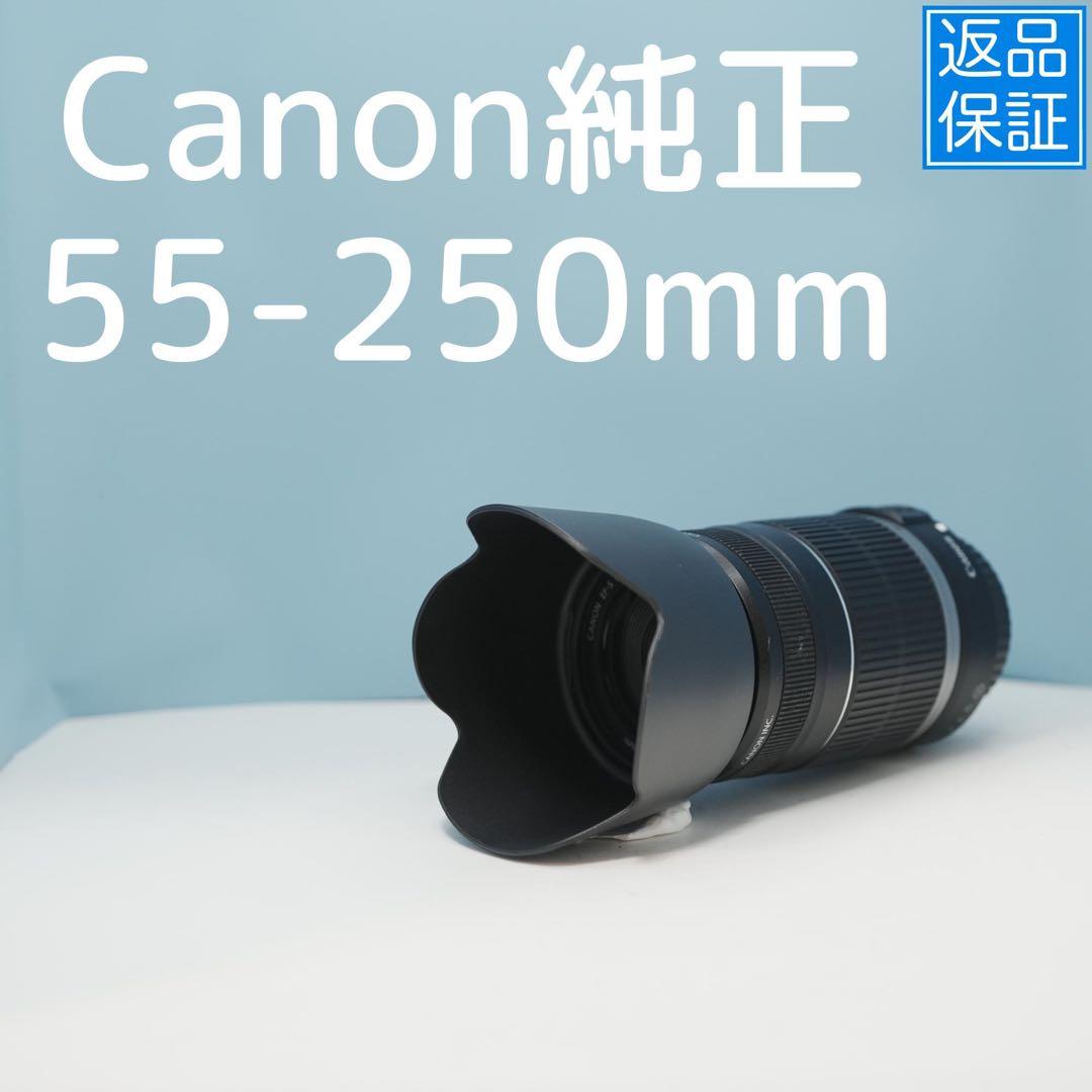 Canon純正 55-250mm 望遠レンズ a4510 EF-S キヤノン Canon 55-250mm F4-5.6 IS STM 望遠レンズ 一眼レフ
