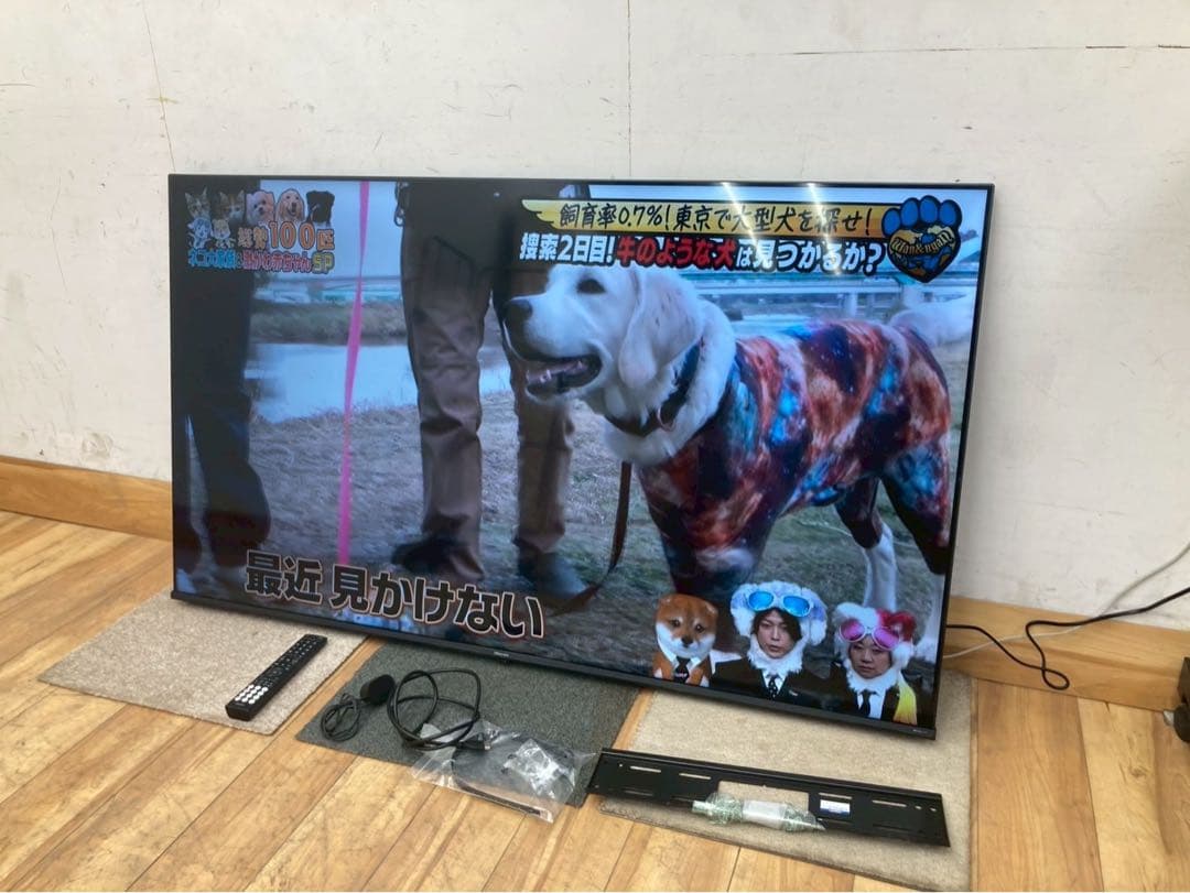 【展示品】ハイセンス　65E6K 2024年製　4K液晶テレビ　直接引取り対応 ハイセンス 液晶テレビ E6Nシリーズ [ 65V型 / 4Kチューナー内蔵
