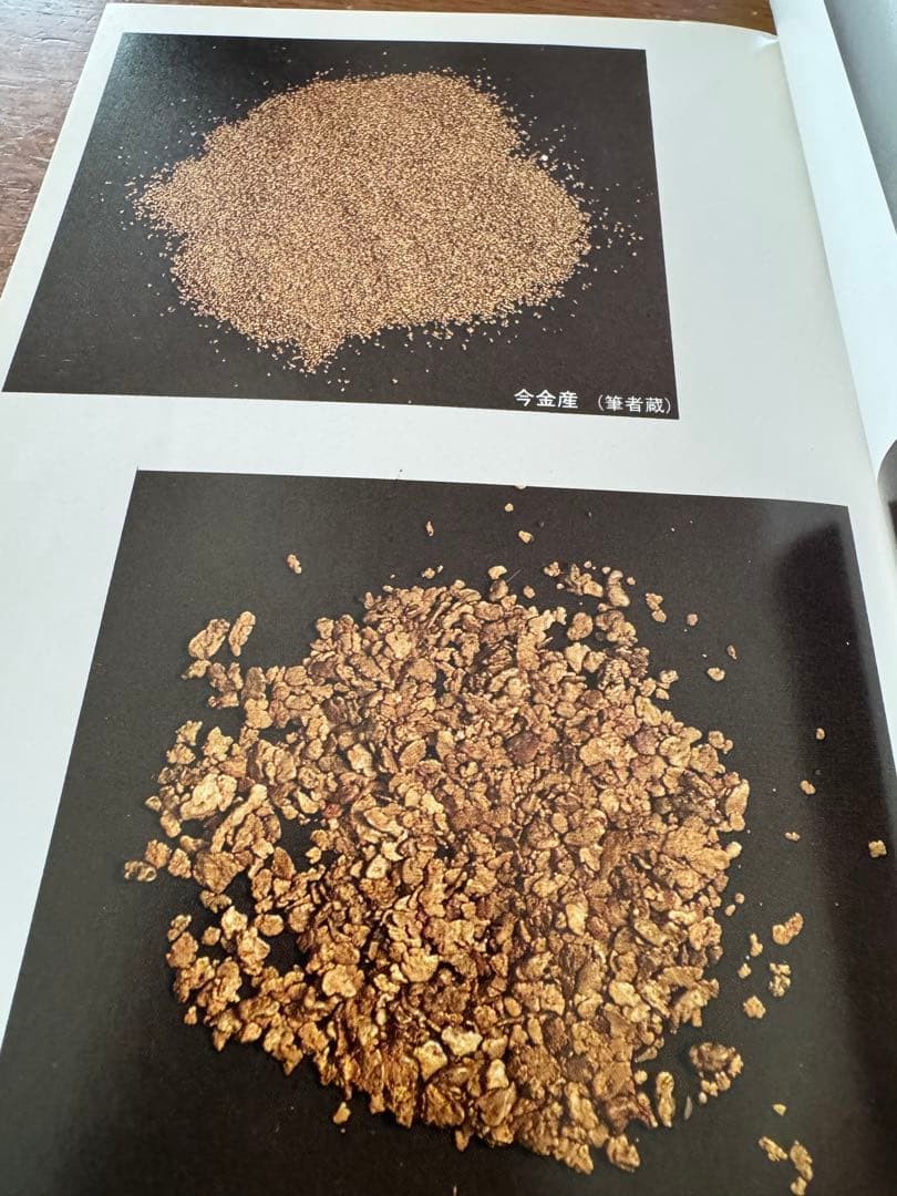 えぞ地の砂金 彌永芳子著 北海道ライブラリー 昭和56年初版 - メルカリ